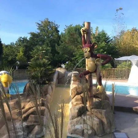Camping 4 Etoiles - Piscine - Eehdab *